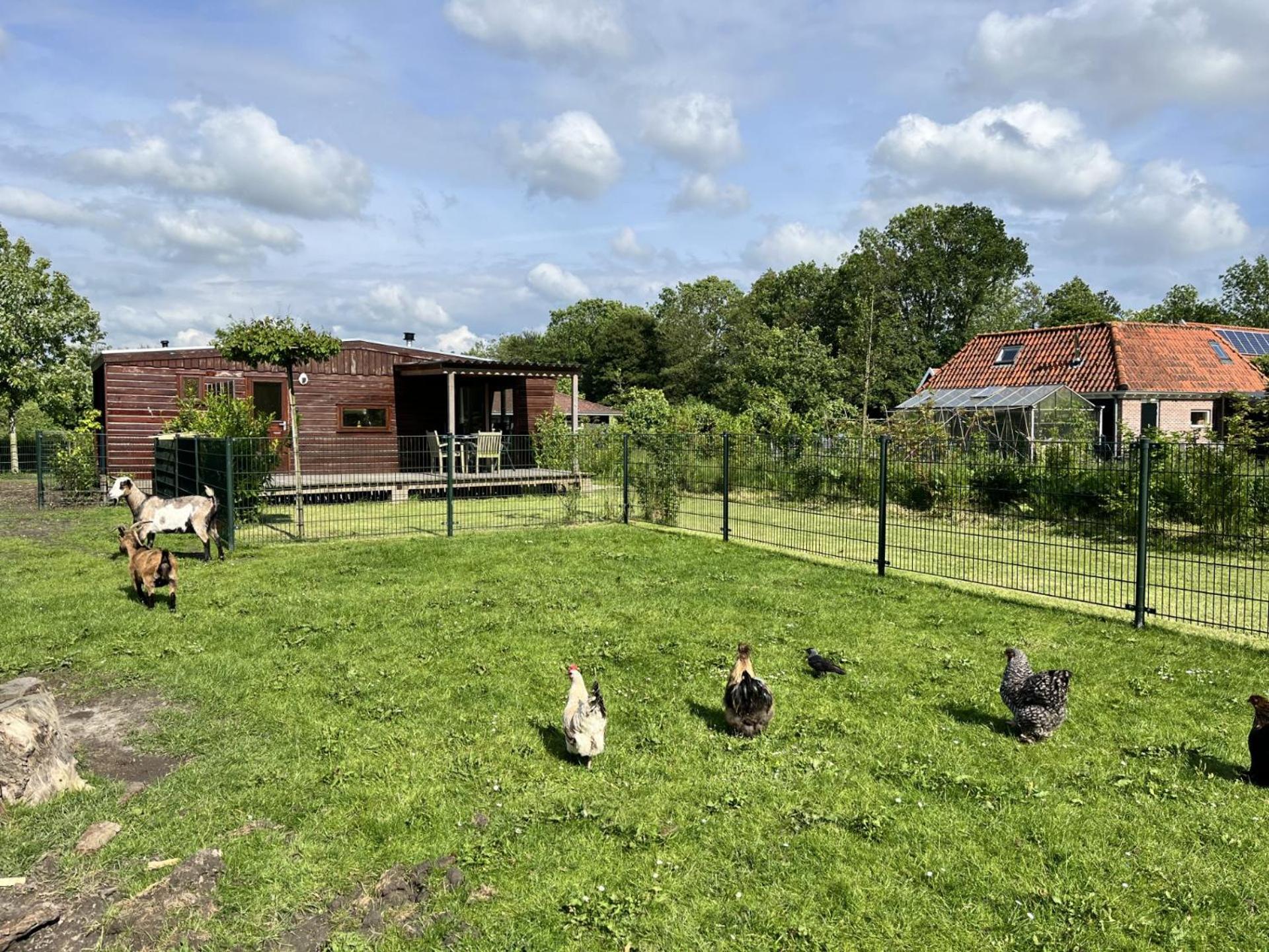 Vrijstaand Chalet Met Veel Buitenruimte En Veranda Zuid-Scharwoude 외부 사진